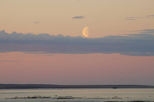 istock Anadyr estuary in the white night 2241141079