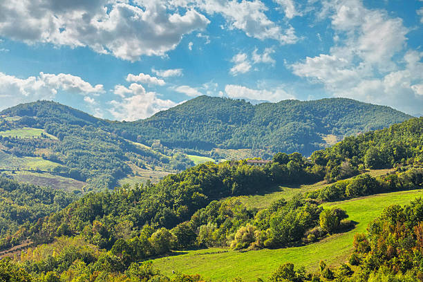 This wide horizontal landscape captures multiple layers of the Umbrian countryside, where brightly lit green pastures and agricultural fields contrast with the deeper greens of surrounding deciduous and evergreen forests that blanket the gently rolling hills beneath a vivid blue sky with scattered white cumulus clouds. This image is perfect for illustrating themes of Italian travel, rural European environment, sustainable farming practices, nature conservation, or to represent the concept of natural serenity and untouched landscapes.