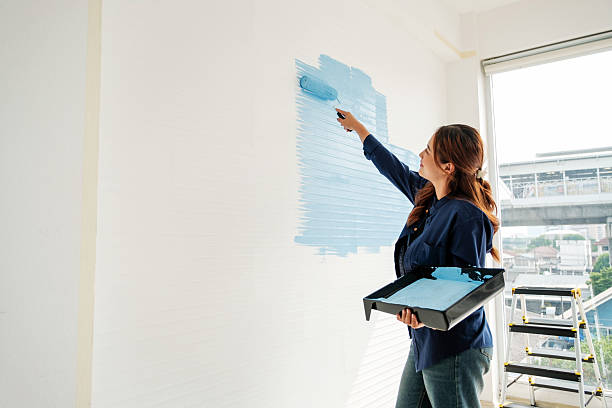 istock Woman paints white interior wall light blue with roller, holding tray near bright window. DIY apartment makeover scene shows painting, renovation, remodeling, brushwork, and home improvement project. 2241145768