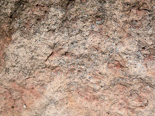 istock A CloseUp of a Textured Rock Surface Depicted in its Natural Setting and Environment 2241151159