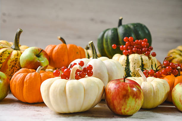 colorful ripe pumpkins