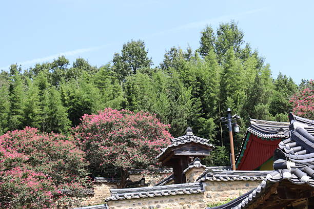 istock Traditional Korean house 2241153065
