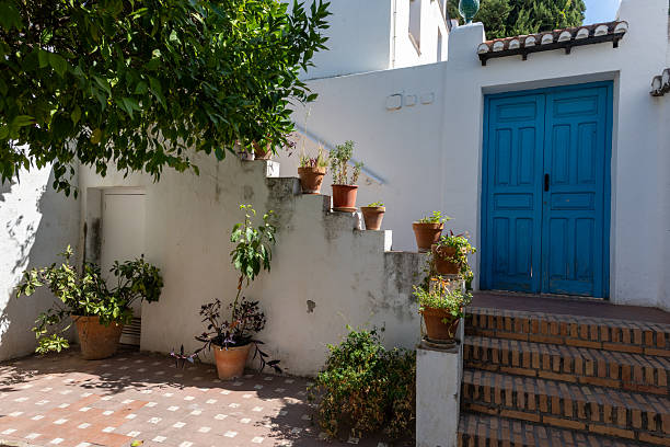Interior of a traditional patio in Granada, Spain