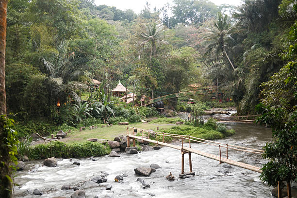 Serene view of a river with a traditional bamboo bridge and lush jungle vegetation, huts nestled in a remote, natural setting