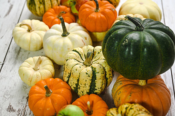 colorful ripe pumpkins