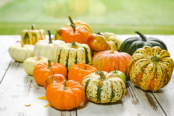 Three different pumpkins on a white background. Concept autumn, harvest