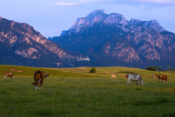 Located in Fussen ,Germany with the Neuschwanstein castle far away