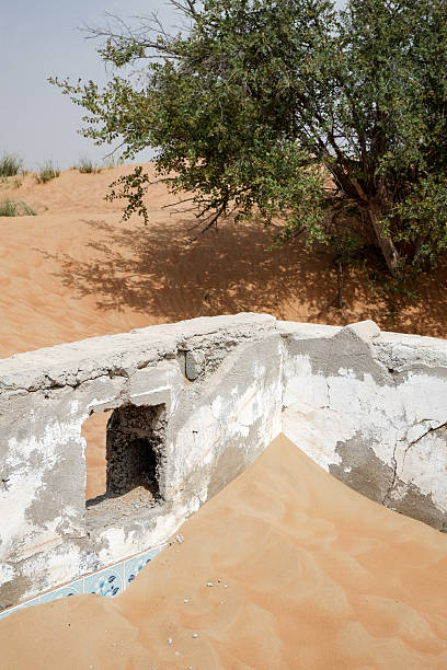 Tree and Collapsing Wall over Desert Sand, Al Madam Ghost Tow
