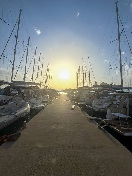 Golden Hour at the Marina with Sailboats