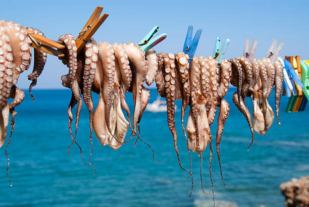 istock Fresh Octopus Tentacles Drying in the Sun by the Blue Sea 2241168519