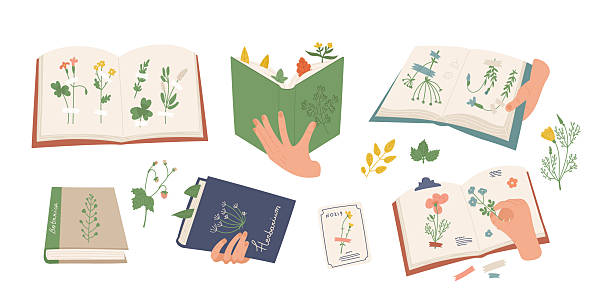 istock Vintage botanical books with herbarium sheets and variety of floral compositions educational design 2241168779