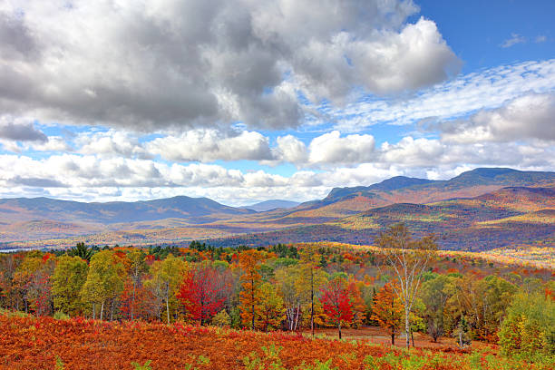 istock Mount Blue State Park in Maine 2241174757