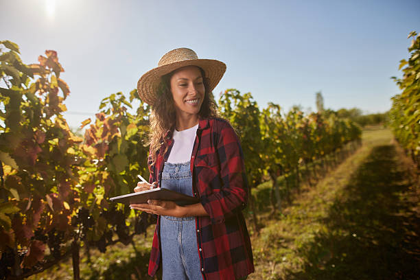istock Woman farmer checking grape quality in vineyard with tablet 2241175699