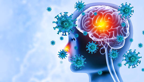 istock Brain viral infection, Viral meningitis and encephalitis. 3d illustration 2241184857