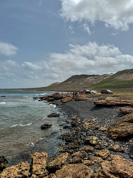 istock Shark Observation Experience, Boa Vista Island, Cape Verde 2241184930