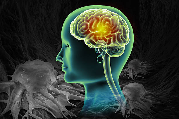 istock Visual concept of deadly brain-eating amoeba infection. 3d illustration 2241185128