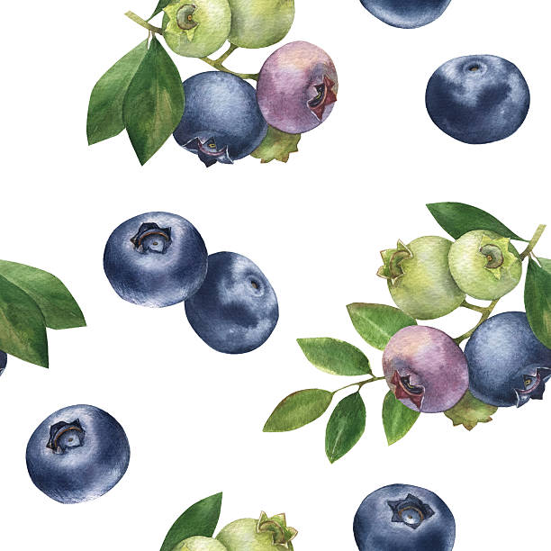 istock Blueberries with leaves watercolor seamless pattern. Hand drawn illustration 2241185360