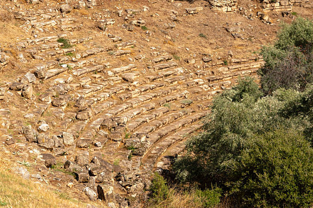 Ancient stone seating rows of the Nysa Odeon are seen on a hillside partly covered with olive trees. The small Roman theatre, used for music and meetings, lies below the main theatre and near the stadium, blending classical architecture with the natural landscape of the Aydın region.