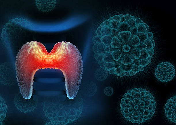 istock Thyroid gland disease. Virus infected thyroid gland. 3d illustration 2241185801
