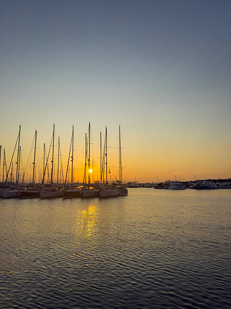 Golden Sunset over a Marina with Silhouetted Sailboats