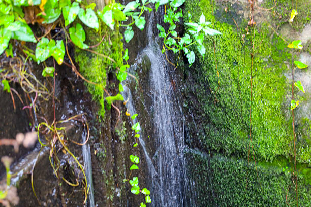 small mountain brook rushing over a stones in mountain canyon