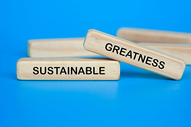 istock Wooden block on blue background showing SUSTAINABLE GREATNESS text for long-term stability. 2241186913