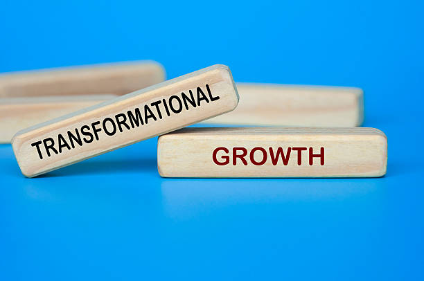 istock Wooden blocks showing TRANSFORMATIONAL GROWTH text for innovation and change. 2241186928