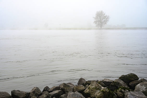 IJssel river meandering through the landscape during a foggy autumn morning near Zwolle and Hattem seen from above.