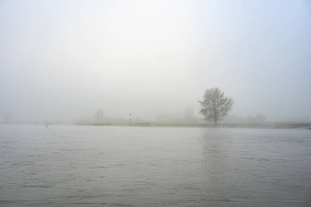 IJssel river meandering through the landscape during a foggy autumn morning near Zwolle and Hattem seen from above.