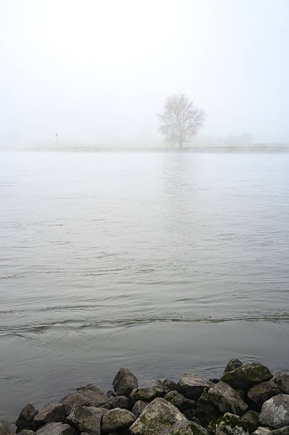 Along the river Po there is often some fog whirling around in autumn, especially in the morning. The haze shrouds the trees and monuments of the Valentino public park with mystery.