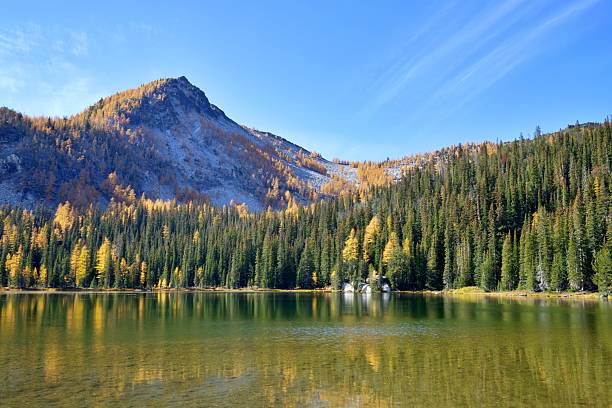 istock Larches at Crater Lakes, Washington State 2241188308