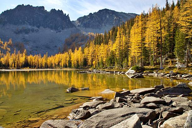 istock Larches at Crater Lakes, Washington State 2241188337