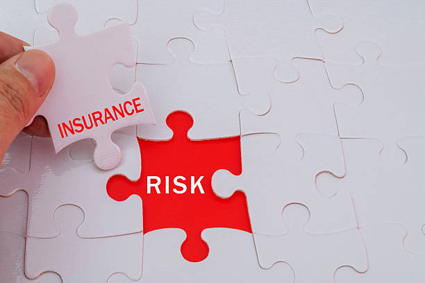 istock Jigsaw pieces with word insurance and risk 2241188541