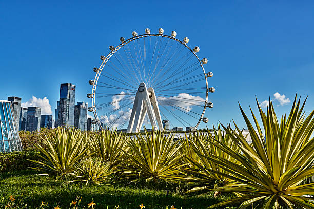 Ferris wheel in downtown of shenzhen china city
