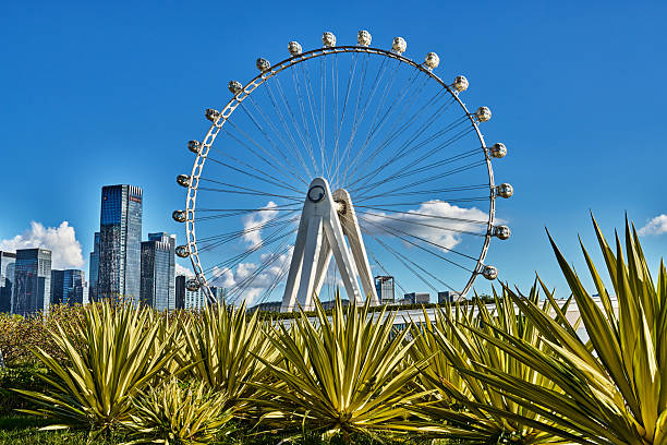 Ferris wheel in downtown of shenzhen china city