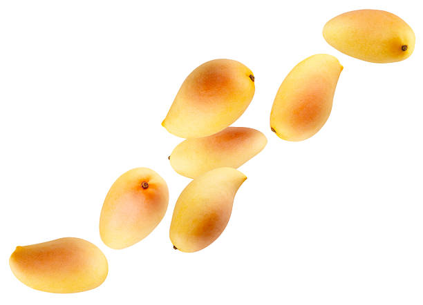 istock Whole yellow ripe mangoes fly through space forming a chain shape. Isolated on white. 2241196396