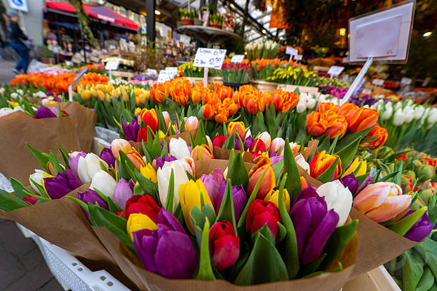 istock Dutch Tulip Sales: Bright Colors and Spring Bouquets at the Market 2241206406