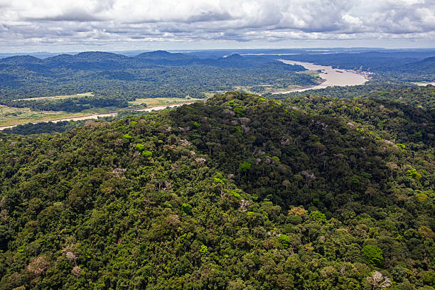 istock Aerial view of Panama Canal 2241206714