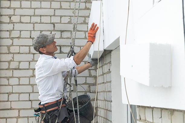 istock Construction worker insulating the exterior wall of a building with polystyrene panels at height. 2241207348