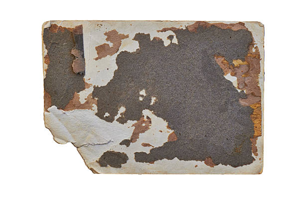 istock A rugged, weathered paper card featuring heavy peeling layers and rusty tones on white background 2241209589
