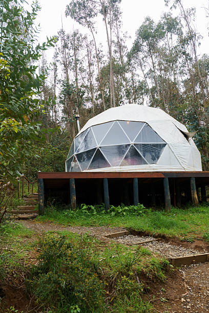 istock Geodesic dome glamping cabin in native forest, chile 2241212143