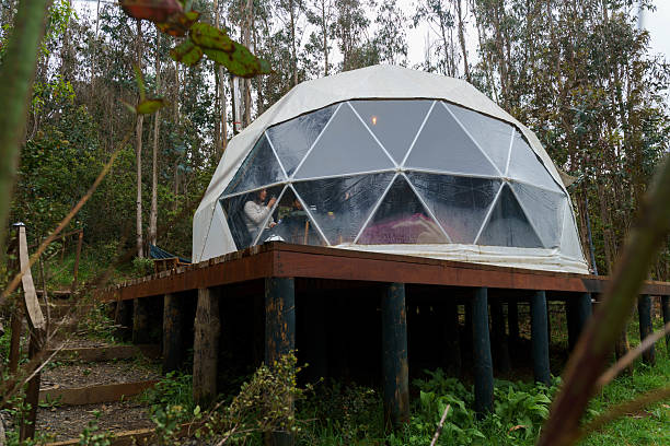 istock Family enjoying glamping geodesic dome in forest 2241212145