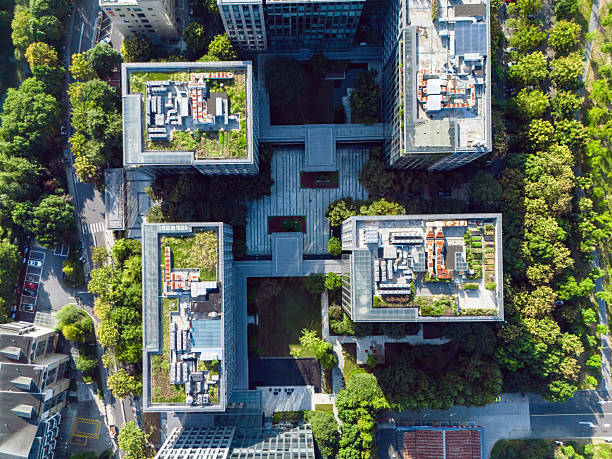 istock Vertical greening of modern office building 2241213306