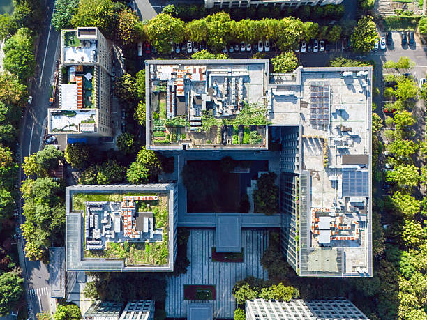 istock Vertical greening of modern office building 2241213309