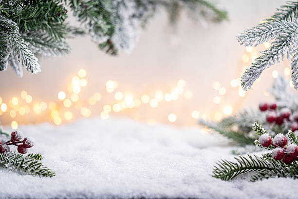 istock Snowy Pine Branches and Berries with Warm Holiday Lights 2241214635
