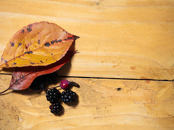 An intricate arrangement of red and green berries with leaves, placed in a rustic vase, gently adjusted by hands, set in a cozy atmosphere emphasizing nature and artisanal decoration.