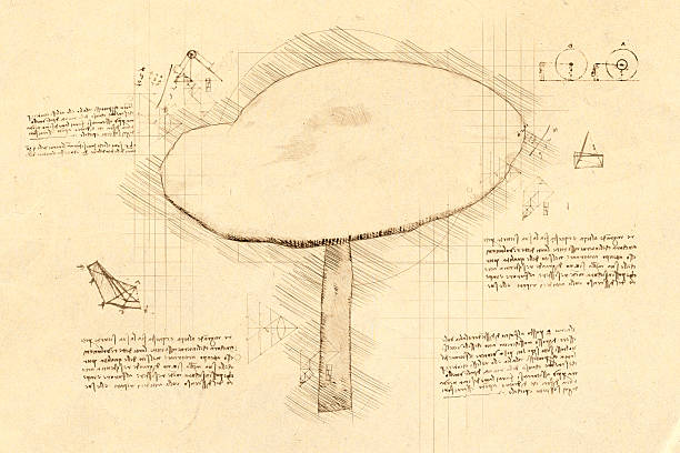 istock Single forest mushrooms in central Europe in da Vinci sketch 2241217376