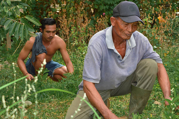 Farmer of Indian ethnicity praying to god for good wheat crop.   