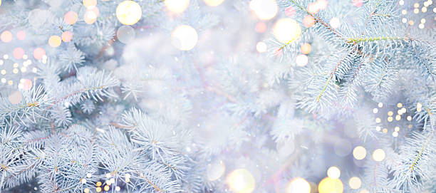 istock Close-up of Christmas tree branches with blurred golden lights 2241219368