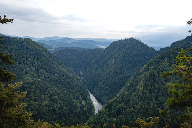View from Sokolica Peak over Dunajec River Gorge in Pieniny, Poland, with cliffs, river, and lush green forest.